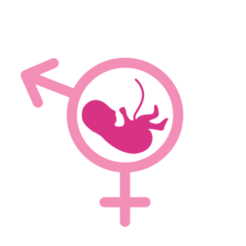 Gynecology & Obstetrics Clinic Dr. Paraskeva